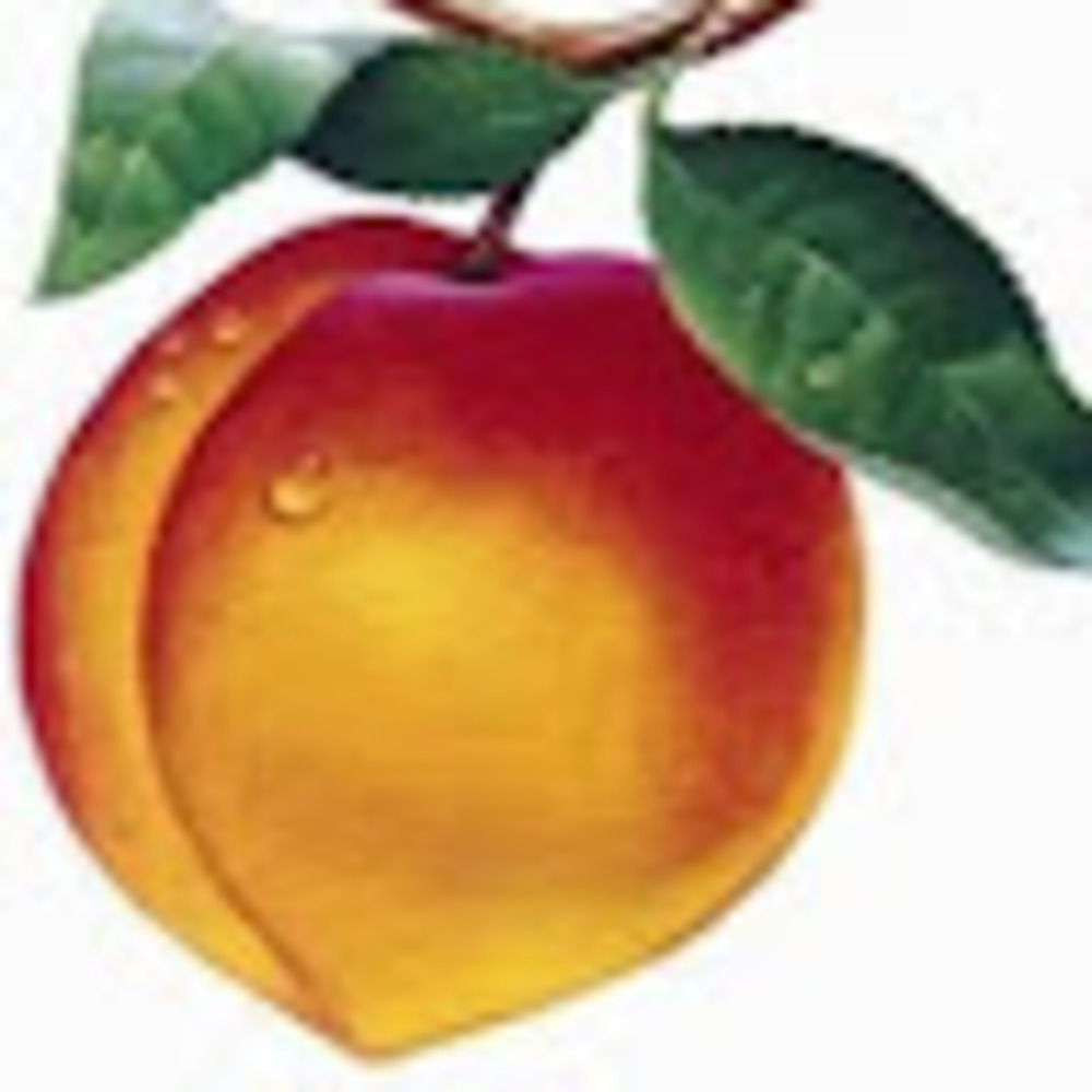 Meet your Posher, Peach